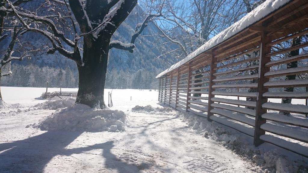 Turisticna Kmetija Psnak Apartment Mojstrana Exterior foto