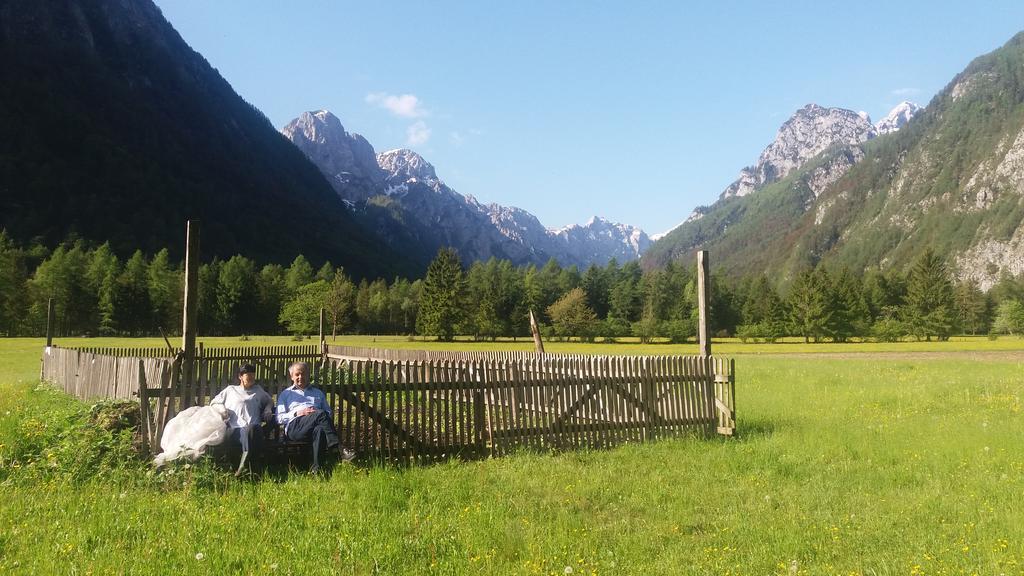 Turisticna Kmetija Psnak Apartment Mojstrana Exterior foto